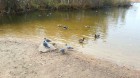 20141009_130017_8671.jpg