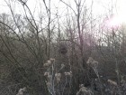 20150408_165621.jpg