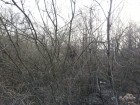 20150408_165629.jpg