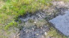 20150922_142943.jpg