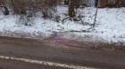 20160104_1518181.jpg