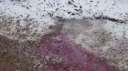 20160104_1518431.jpg