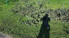 20170808_172858.jpg