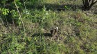 20170808_173251.jpg