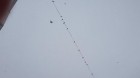 20180115_123714.jpg