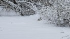20180214_1548311.jpg