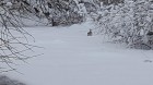 20180214_1548581.jpg