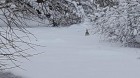 20180214_1549011.jpg