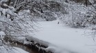20180214_1549141.jpg