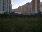 Файл: ____0341.jpg
Объем: 298КБ
Размеры: 1024x768
Дата: Июль 20, 2014 ____0341.jpg