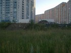 ____0342.jpg