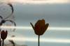 1_DSC00847.jpg