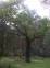 145633233_small[1]~0.jpg