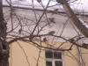 DSCN1331.JPG