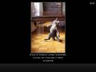 IMG_0200.PNG