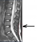 8iRrVeWj7P8.jpg