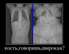 x_e7633b14.jpg