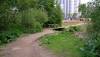 Kogu_08_05_20_04.jpg