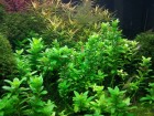 IMG_20171104_1419301.jpg