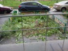 2013-05-28_10.05.59.jpg