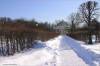 CRW_3094_RT8~0.jpg