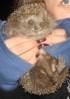 DSC07870_.jpg
