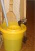DSC08296_.JPG