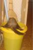 DSC08304_.JPG