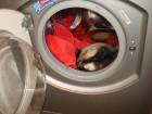 DSC09440_.jpg
