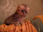 IMG_32783333.jpg