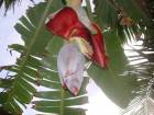 DSC00503.JPG