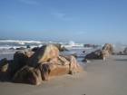 DSC01091.JPG