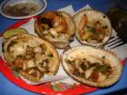 DSC01171.JPG