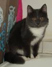 DSC04810.jpg