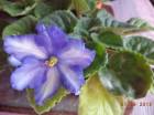 DSC00260.jpg