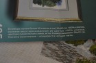 DSC_1270.JPG