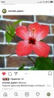Screenshot_2019-01-15-19-21-38-403_com.instagram.android.png