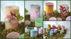 ^FEEDCA966EA0CBC60950CC04C025F2169161EA0E588427B653^pimgpsh_fullsize_distr.jpg