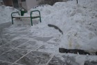 DSC_0428.JPG