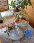 DSC00047.JPG