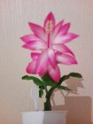 IMG-20190203-WA0005.jpg