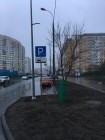 IMG_1305_1.jpg